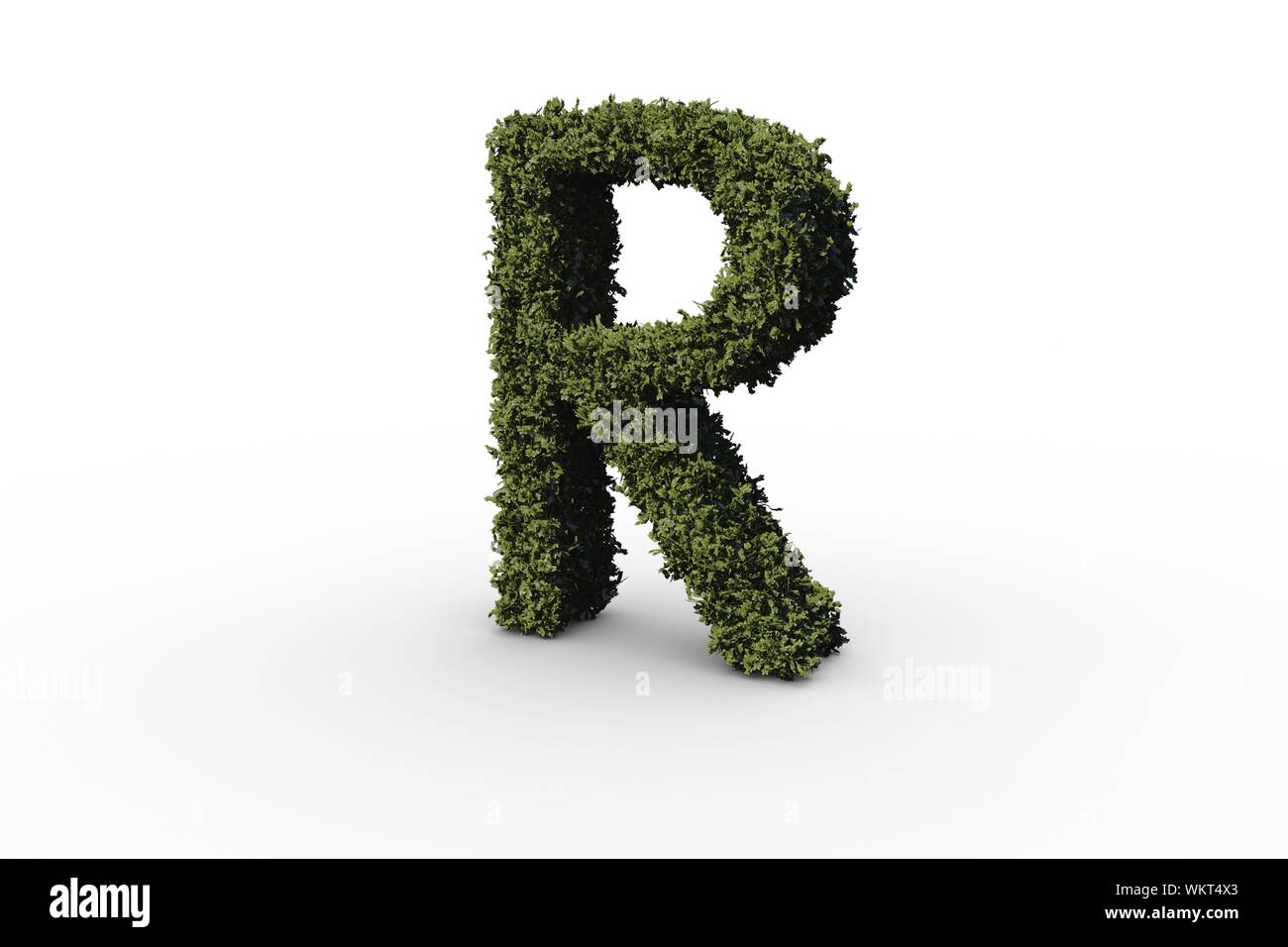 Letter r made of leaves on white background Stock Photo - Alamy