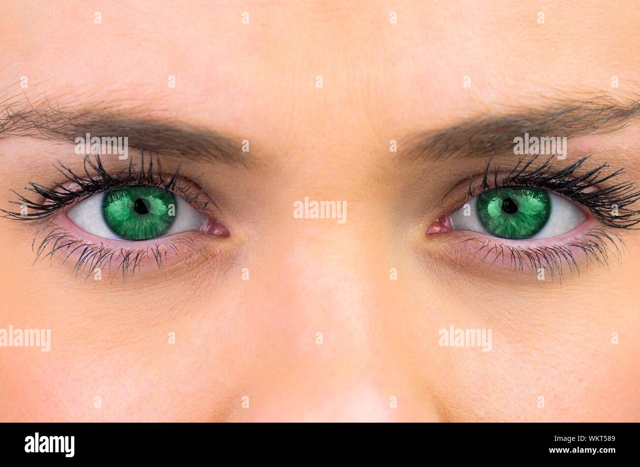 Bright green eyes on pretty female face looking at camera Stock Photo