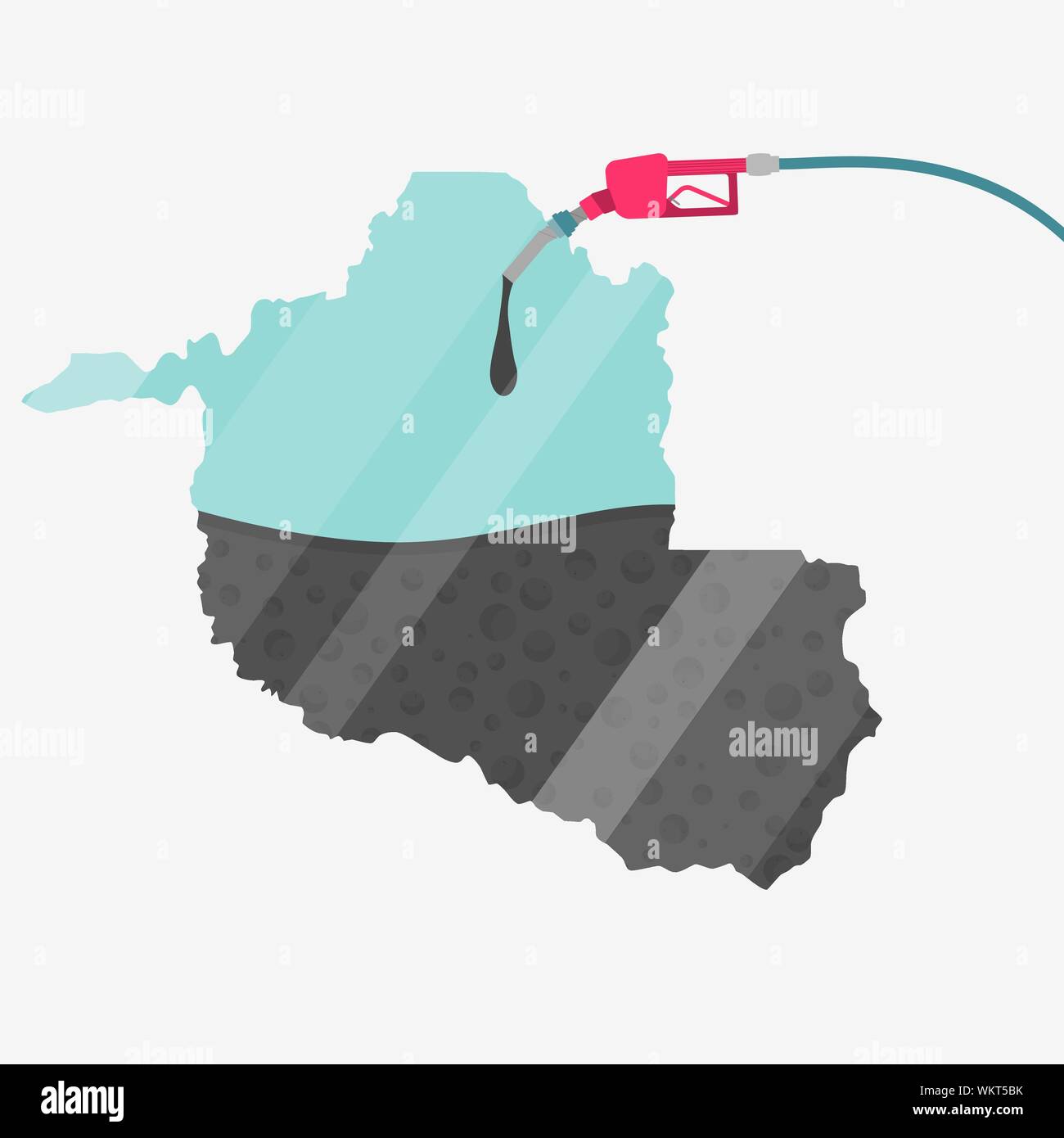 Map of the State of Rondônia