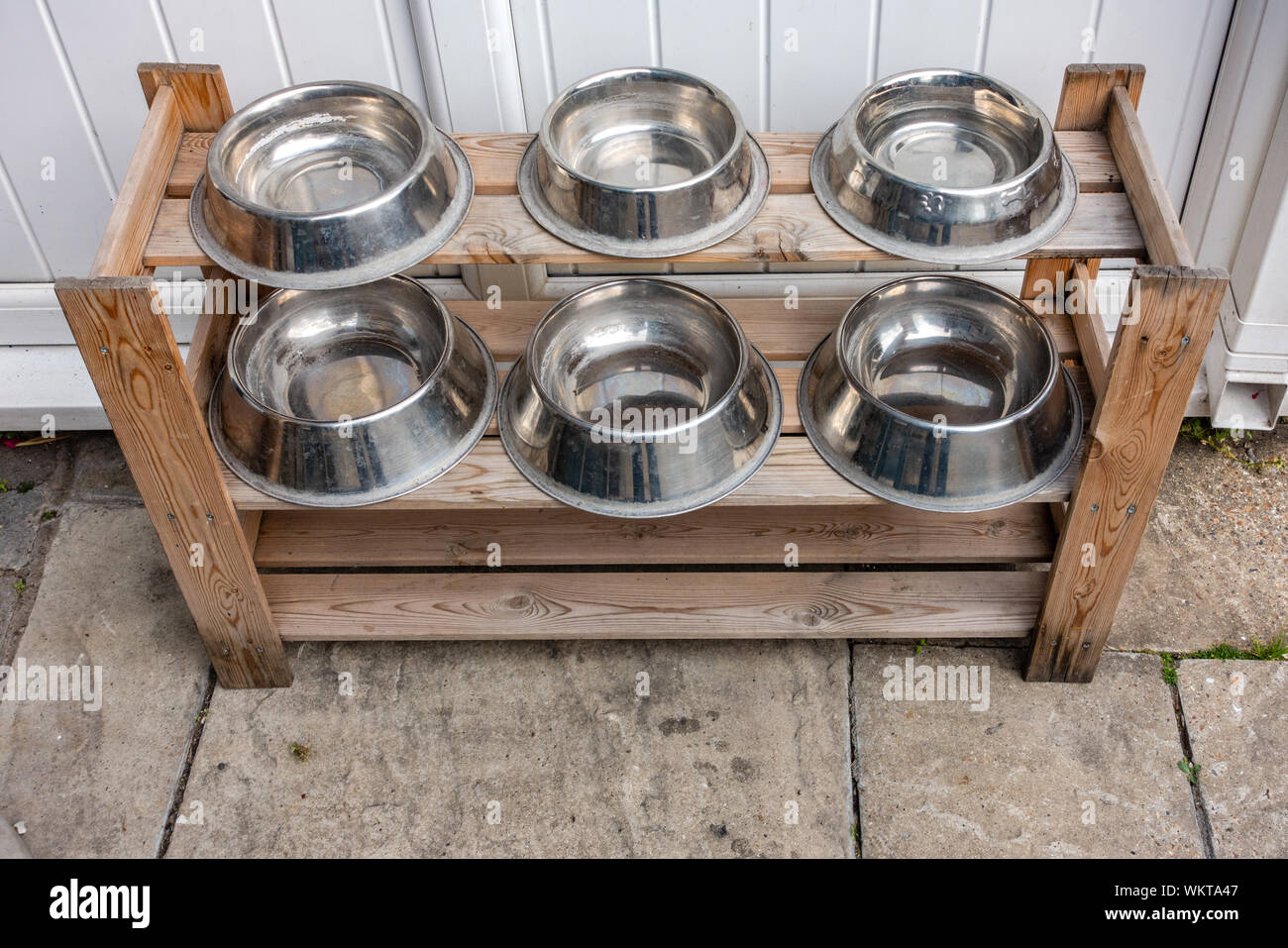 6 stainless steel dog water bowls on shelves outside pub in England Stock Photo