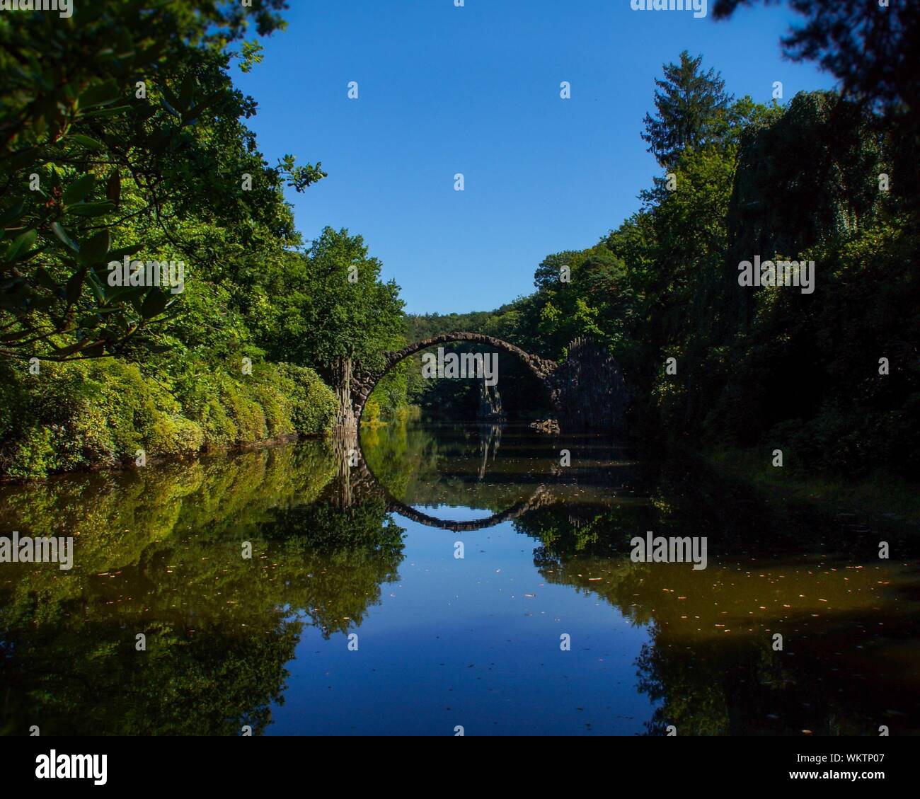 Rakotz Bridge Reflection On River Amidst Trees Against Clear Blue Sky Stock Photo