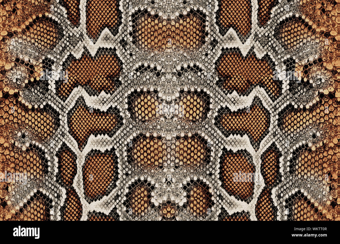 新品未開封品　POLE SNAKE SKIN ネイタルデザイン　レトロストライプ 希少！ハーフトラックとネイタルデザインのコラボ！ポール