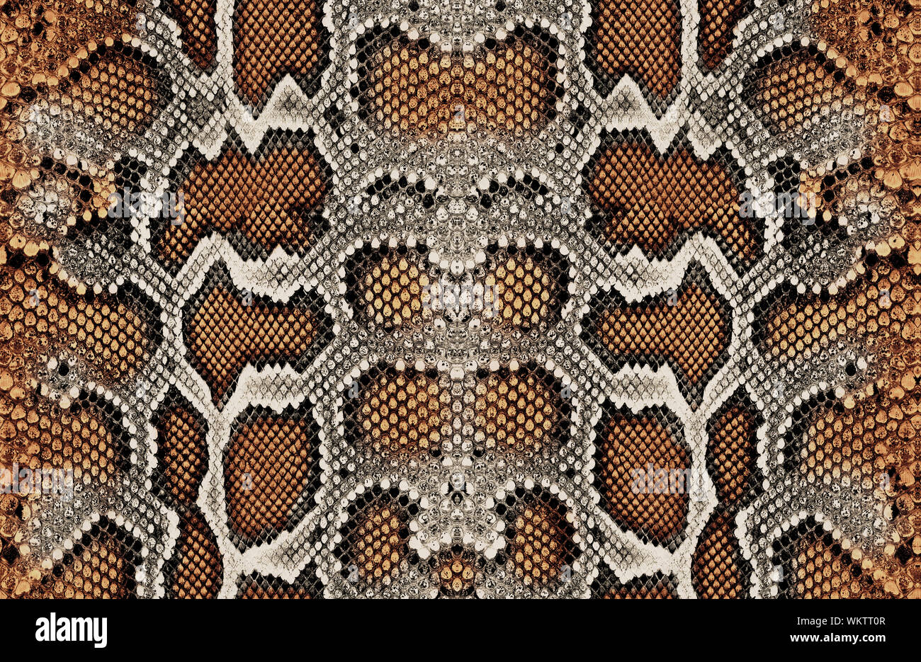 snake skin pattern