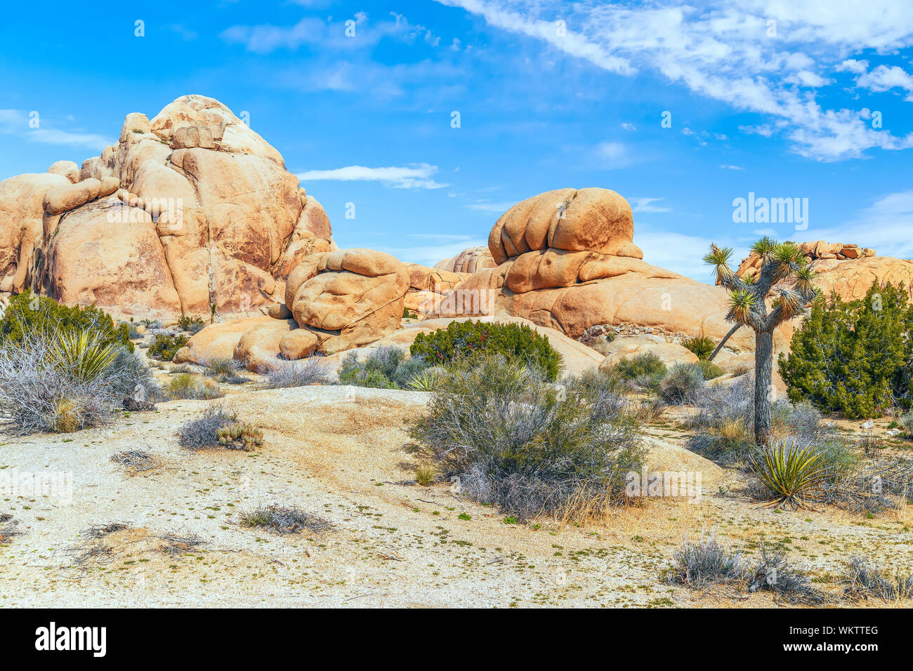 Sandstone formations at the Skull Rock Area. Joshua Tree National Park. California. USA Stock Photo