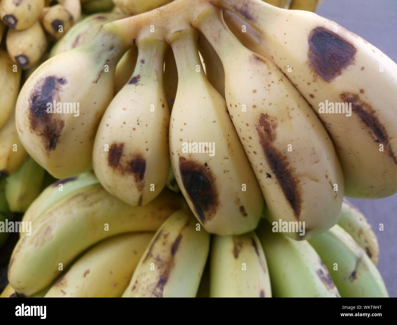 Rotting banana hires stock photography and images Alamy