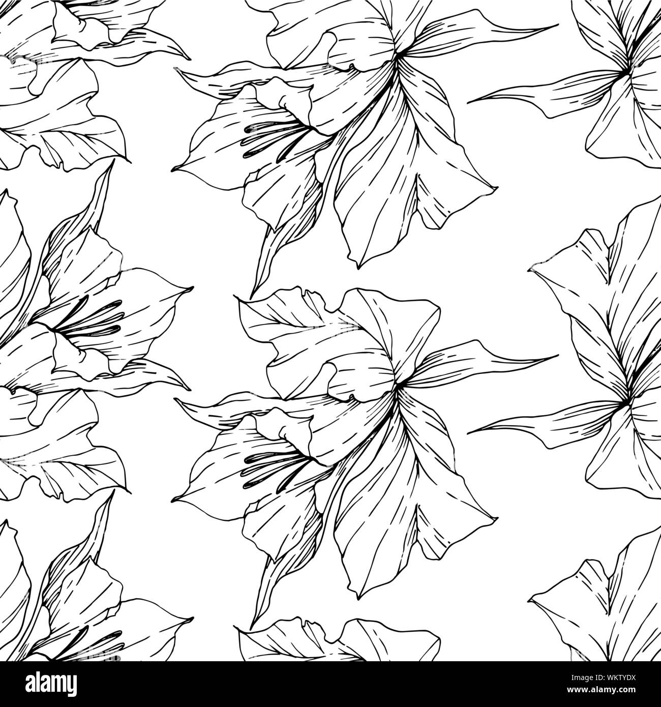 Vector Tropical flowers and leaves isolated. Black and white engraved ...