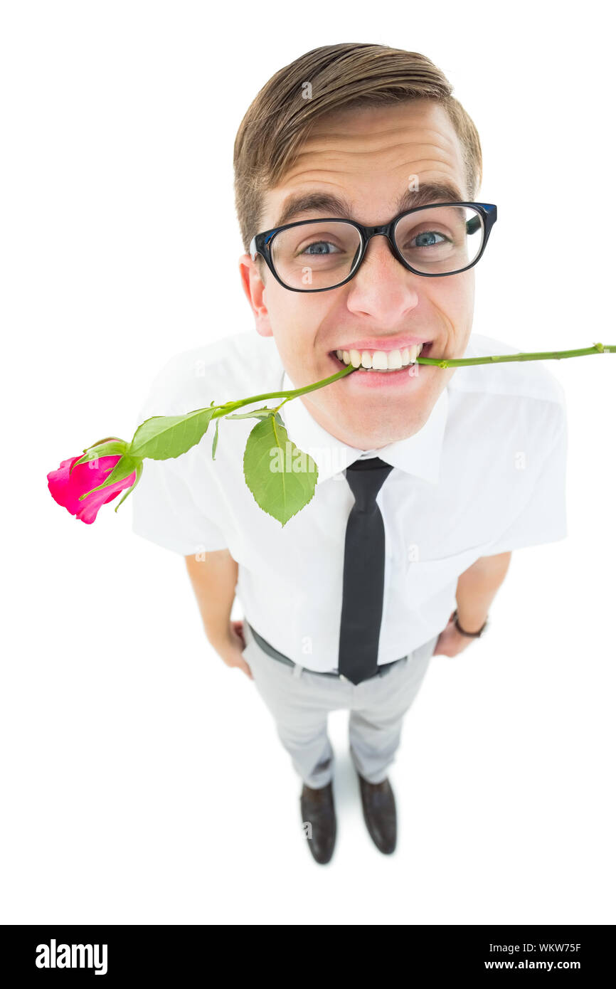Geeky hipster holding a red rose in his teeth on white background Stock ...