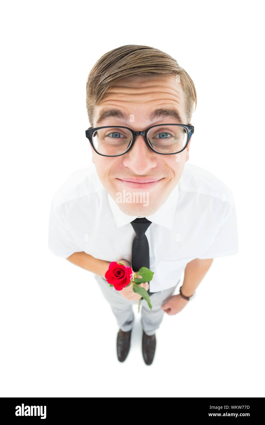Geeky hipster holding a red rose on white background Stock Photo - Alamy