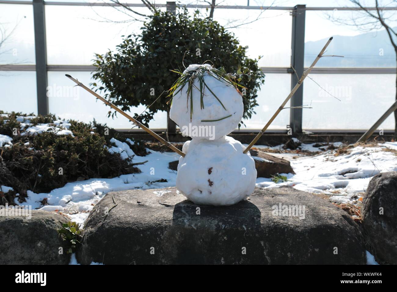 Snowman On Rock Against Plant Stock Photo