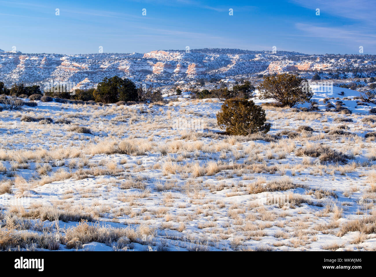Arid rangeland hi-res stock photography and images - Alamy