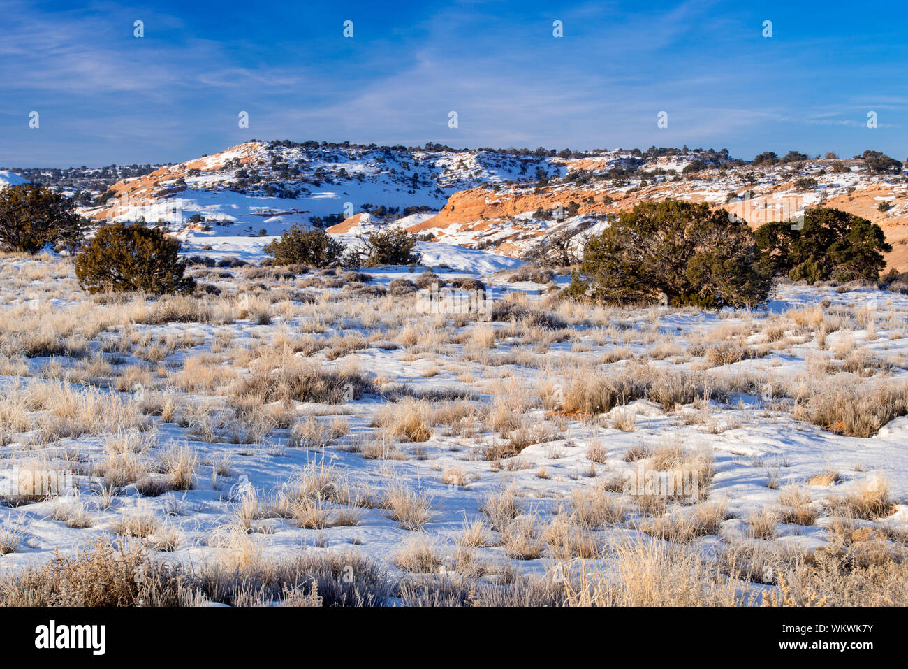 Arid rangeland hi-res stock photography and images - Alamy