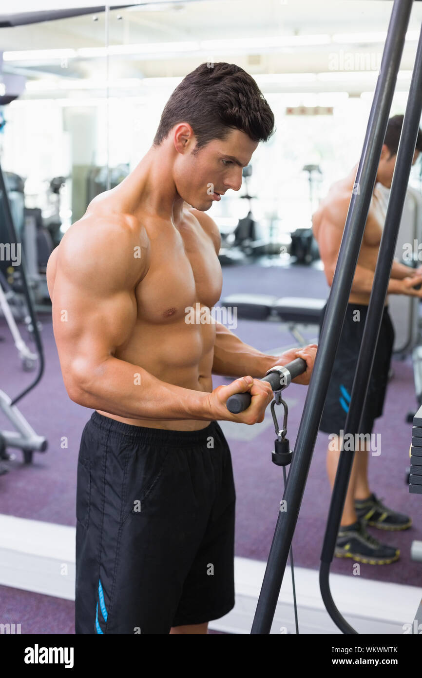 Side view of a shirtless young muscular man using triceps pull down in gym  Stock Photo - Alamy