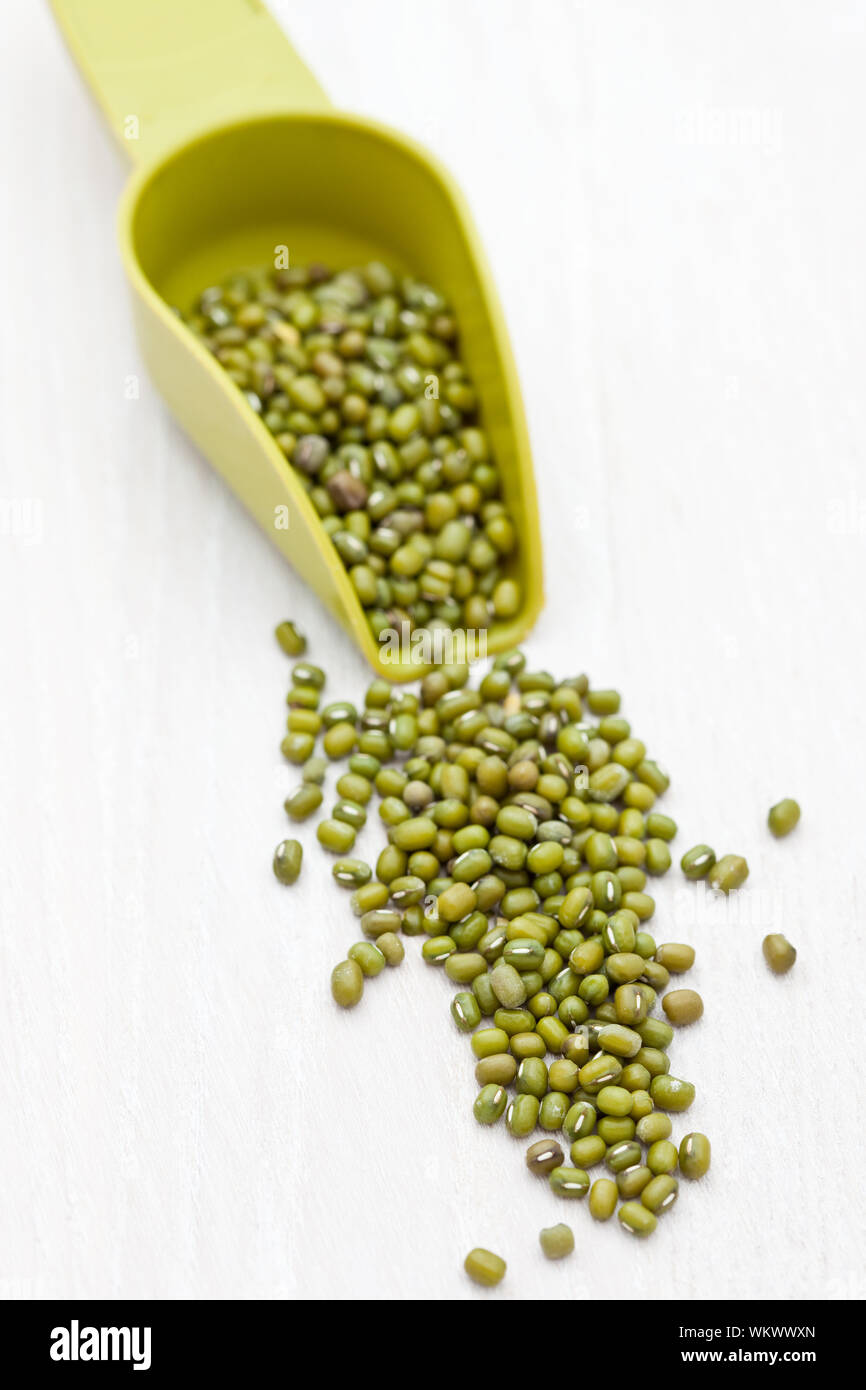 Dried mung beans in a green scoop Stock Photo Alamy