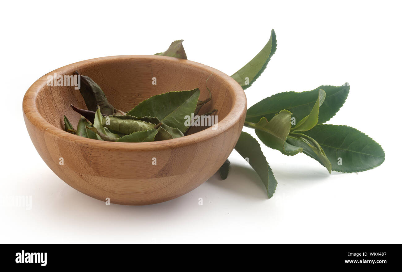 Tea branch and bowl with tea leaves Stock Photo
