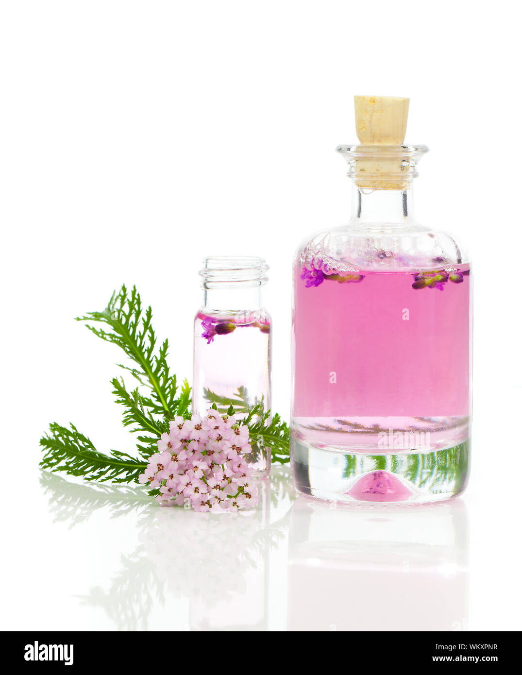 Yarrow herbal tincture, with fresh flowers Achillea millefolium Stock