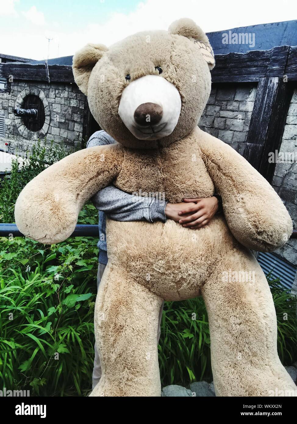 teddy bear person
