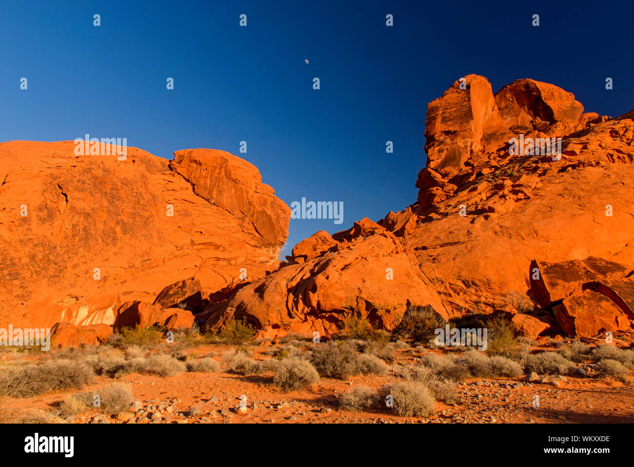 Weathered Red Rocks Weathered red rocks formations in the desert, Valley of Fire State Park ...