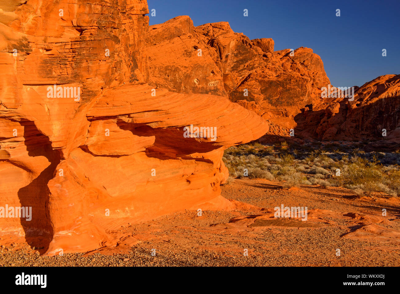 Weathered Red Rocks Weathered red rocks formations in the desert, Valley of Fire State Park ...