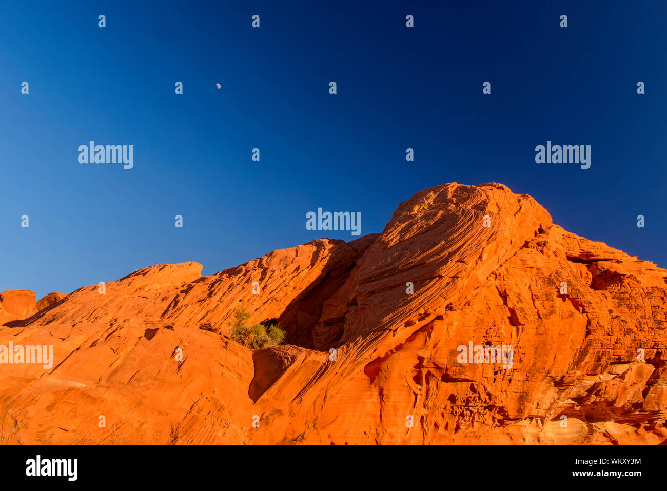 Weathered Red Rocks Weathered red rocks formations in the desert, Valley of Fire State Park ...