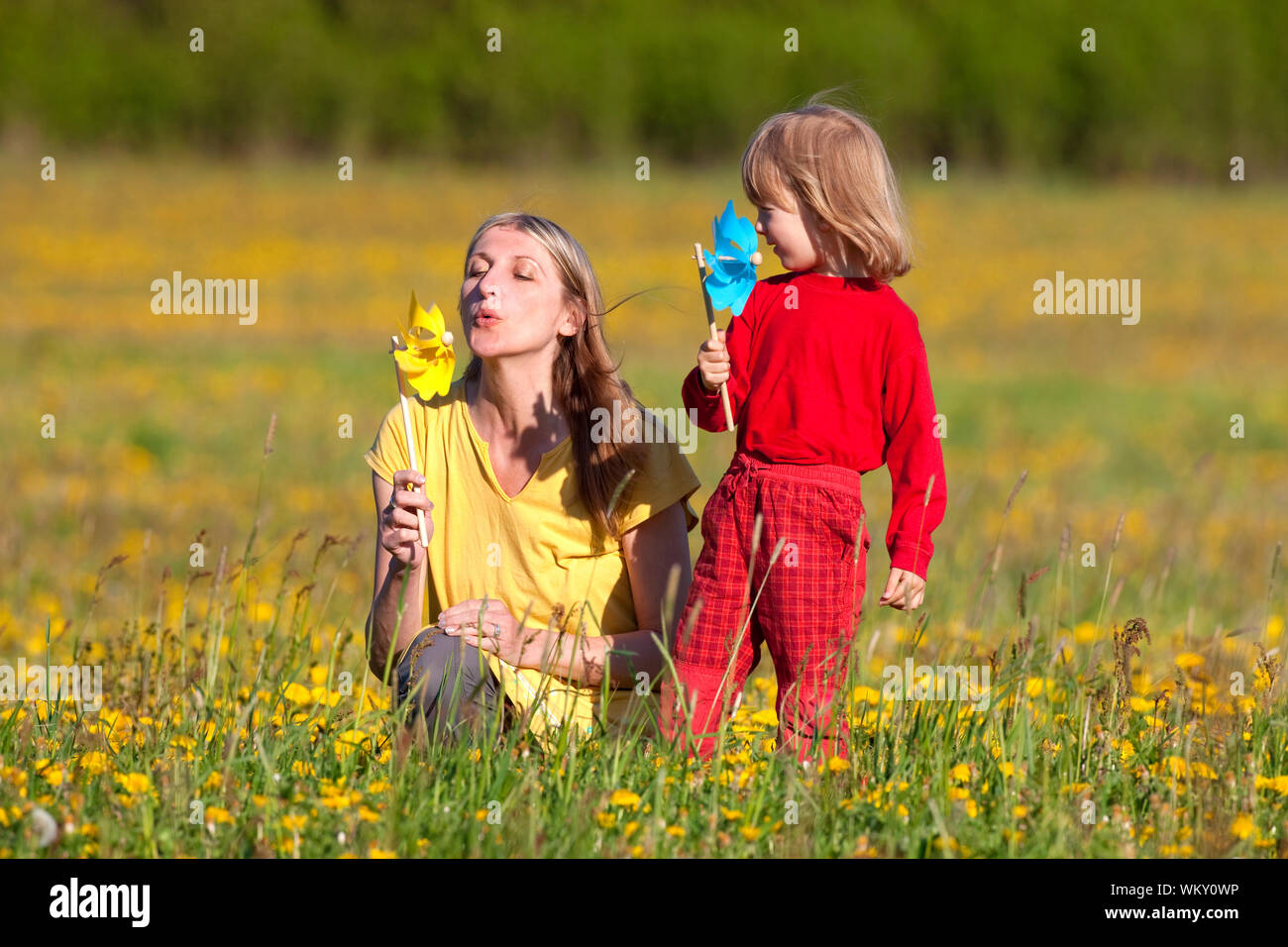 Field with pinwheels hi-res stock photography and images - Alamy