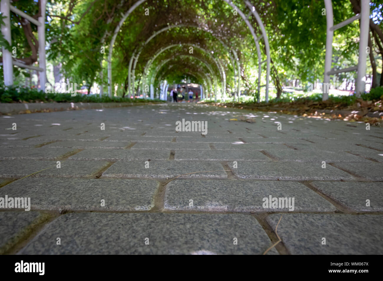 Ivy covered tunnel. Close-up of stone parquets. Blurred people in the background. Stock Photo