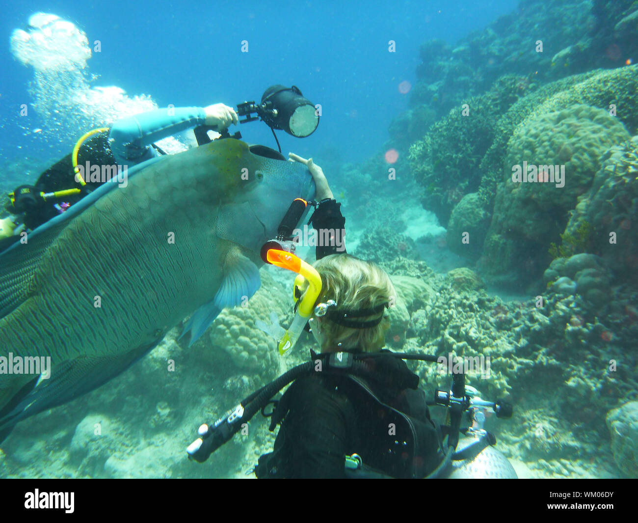 Scuba divers underwater hires stock photography and images Alamy