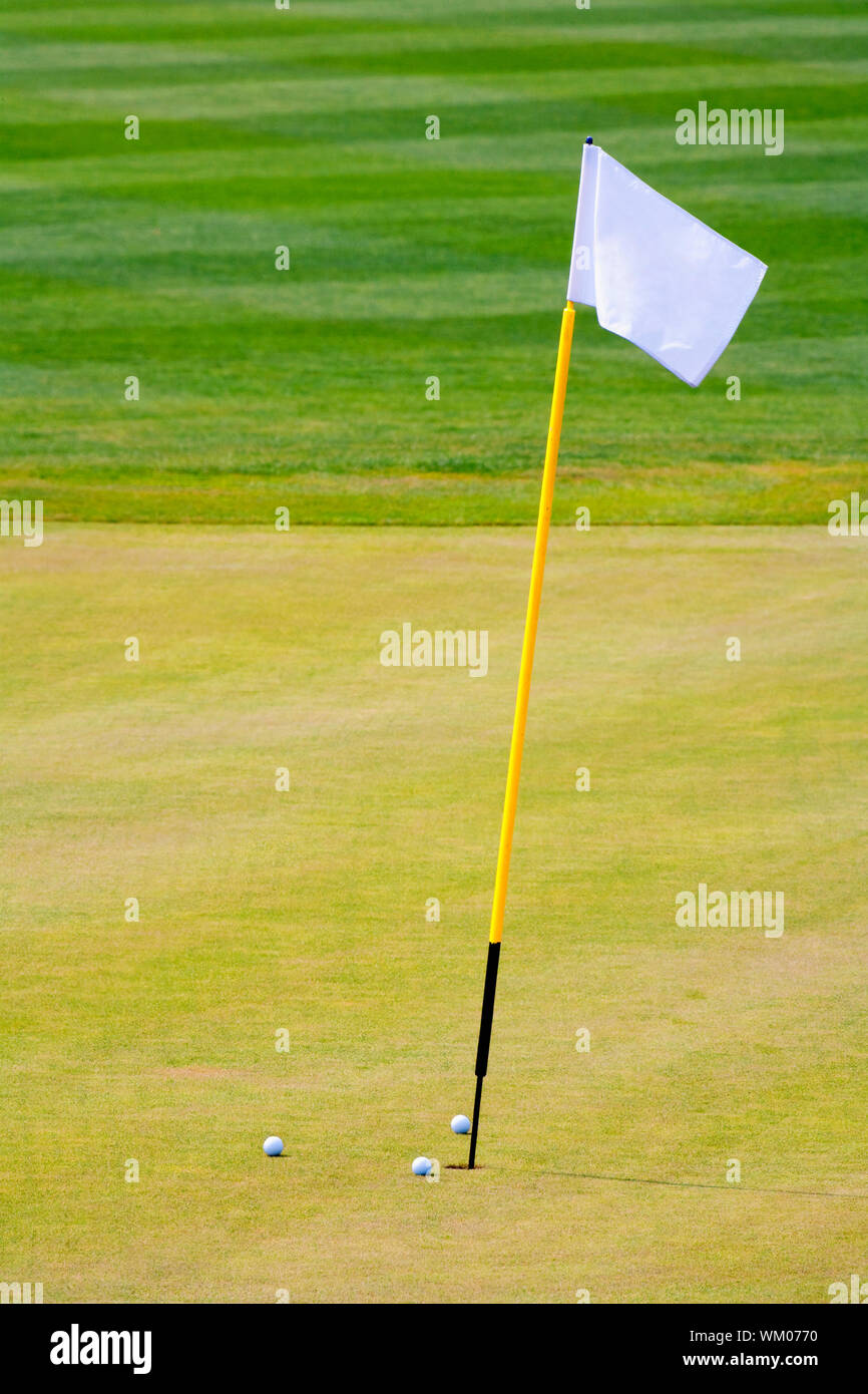 three golf balls on the putting green surrounding hole with a flag