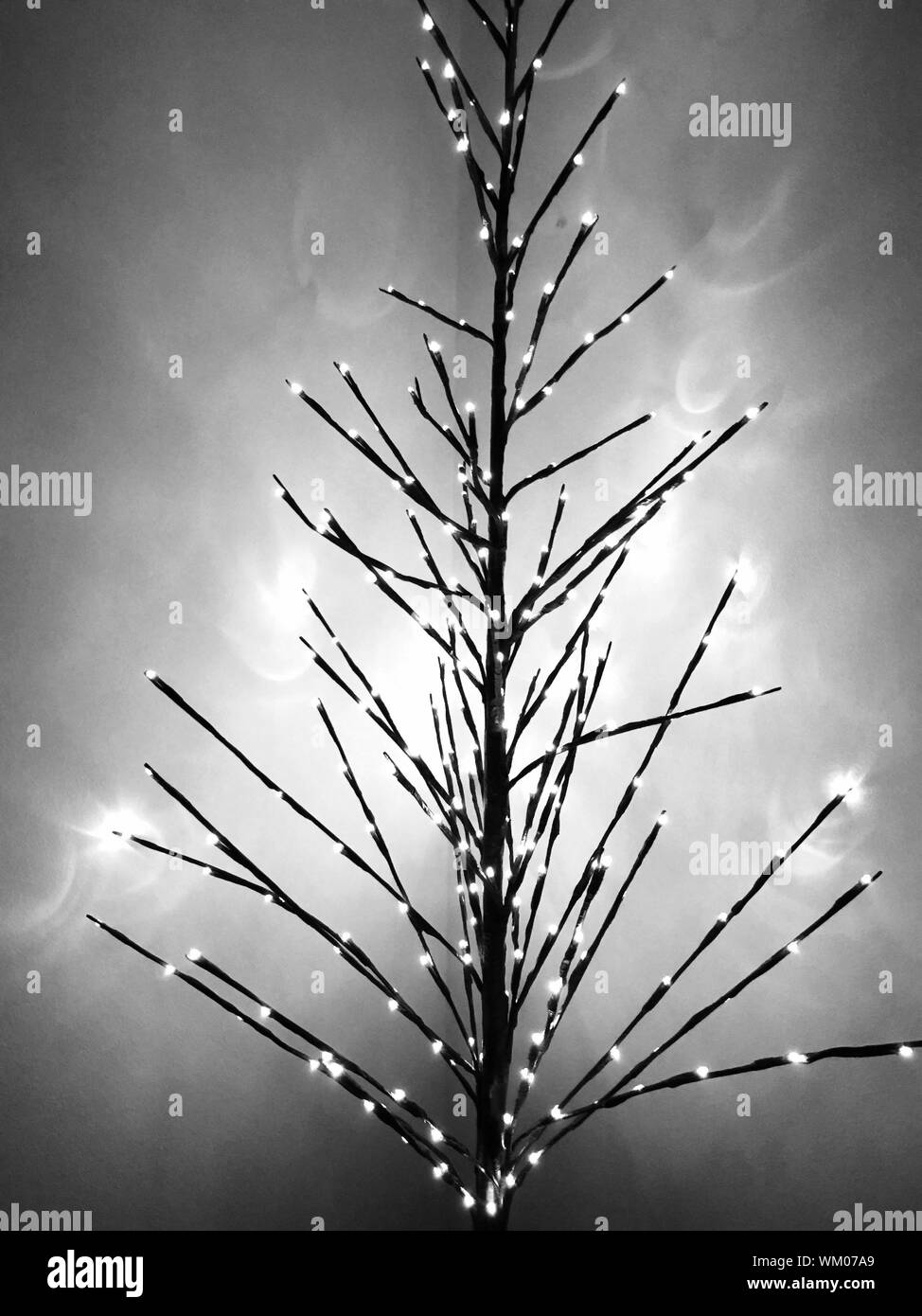 Led tree lights hires stock photography and images Alamy