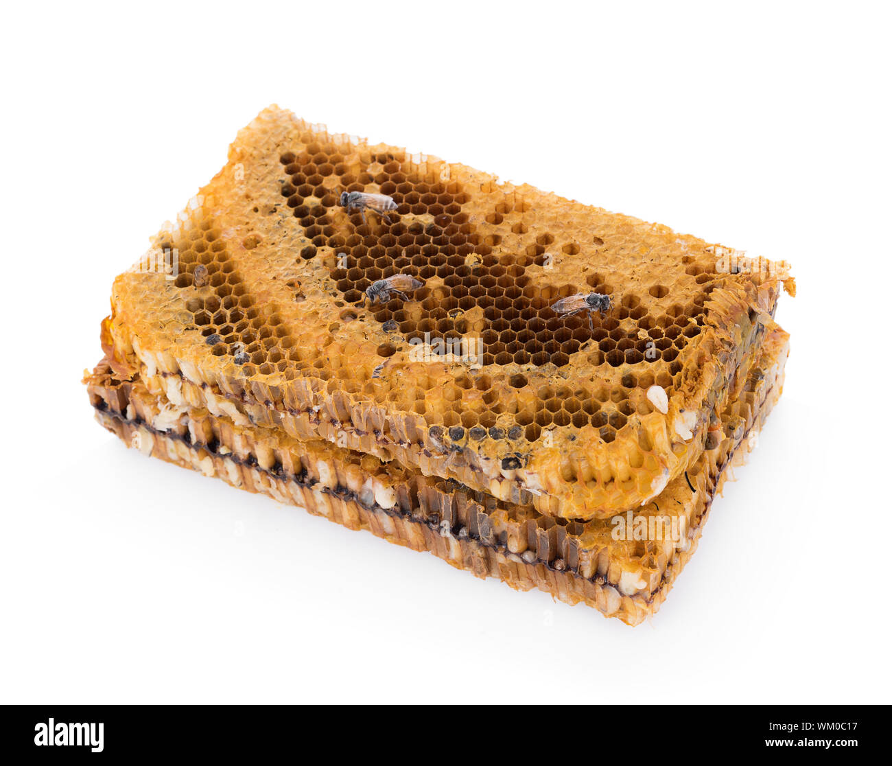 Bees In Beehive Close Up Cut Out Stock Images & Pictures - Alamy