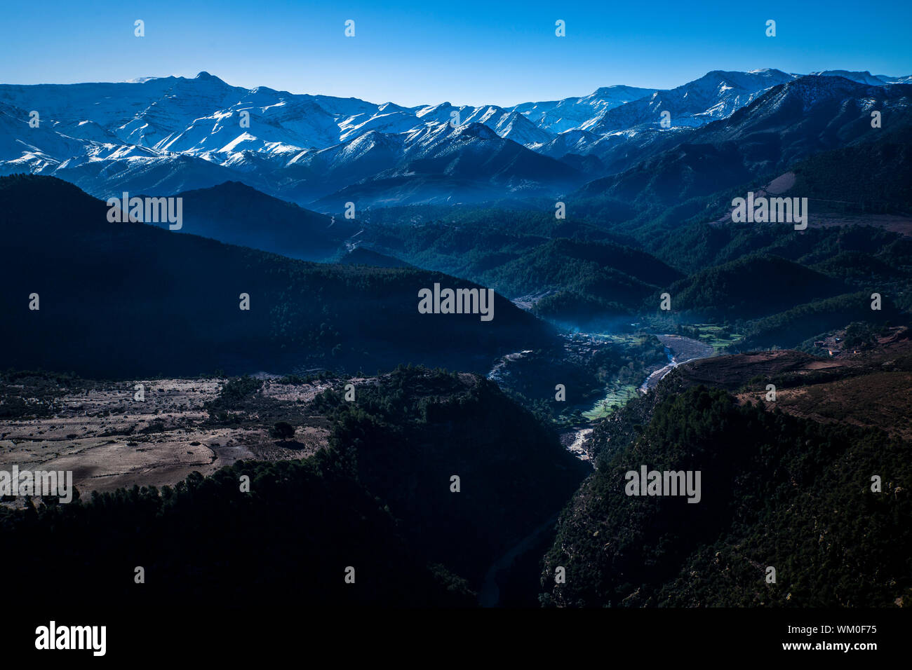 Night winter pine trees hi-res stock photography and images - Alamy