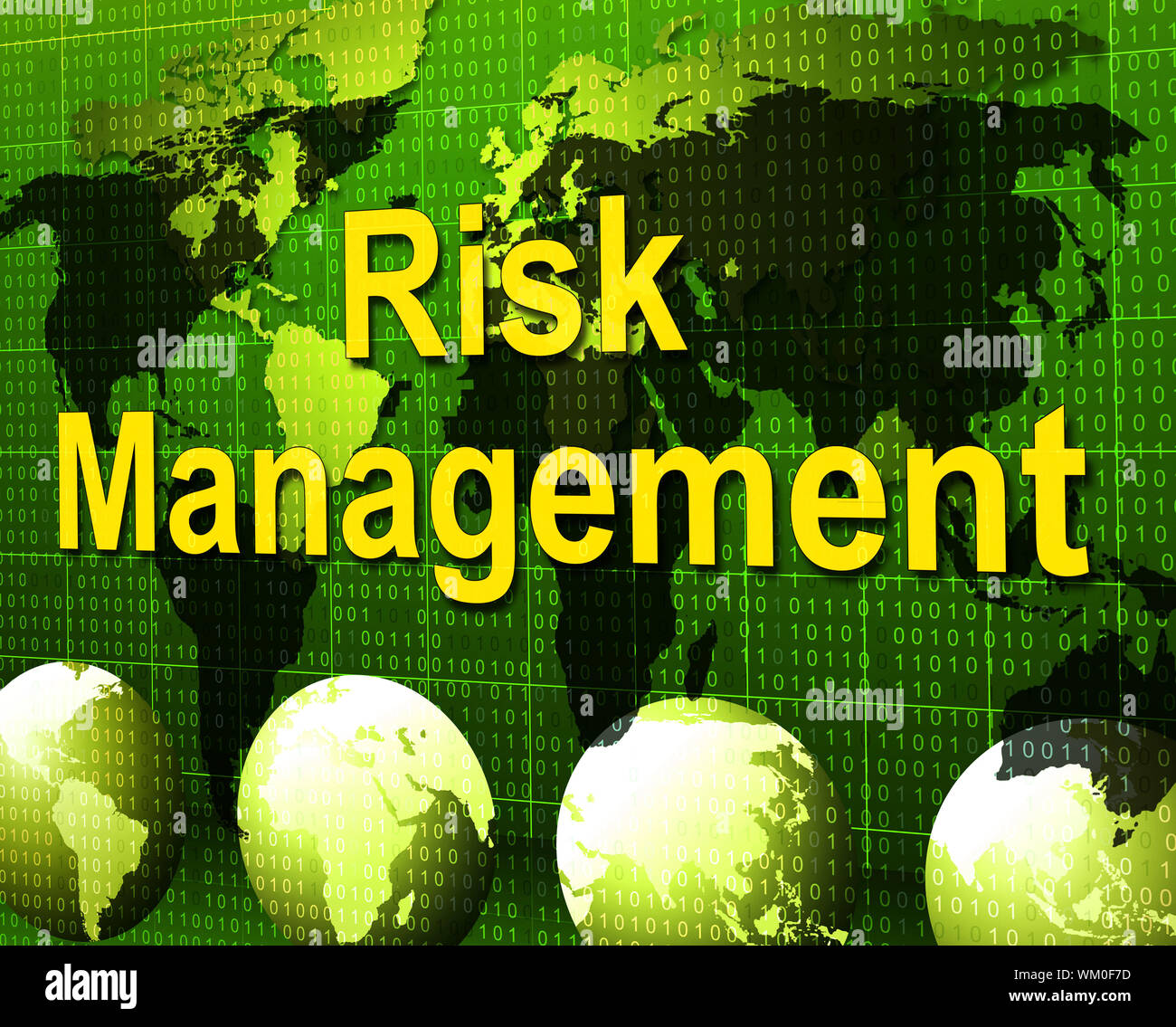 Wm Risk Manager Risk Management Representing Directors Dangerous And Company Stock ...