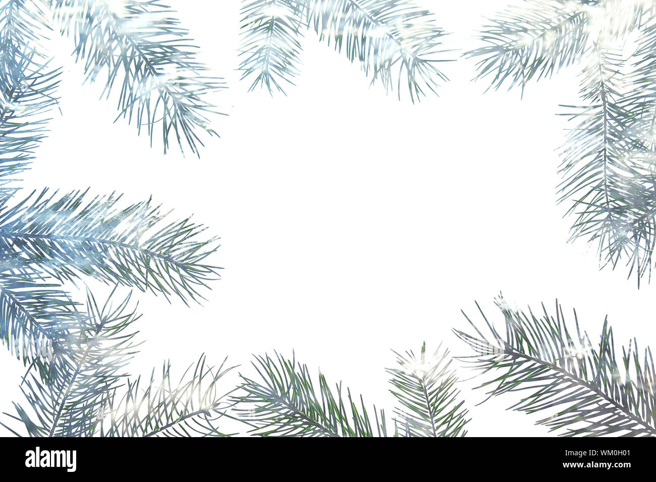 Christmas tree branches. Snow background. Flat Lay (1024424)