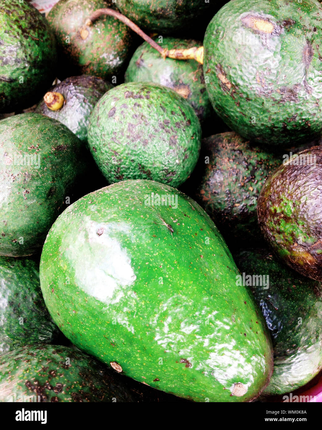 Fresh avocados background Stock Photo