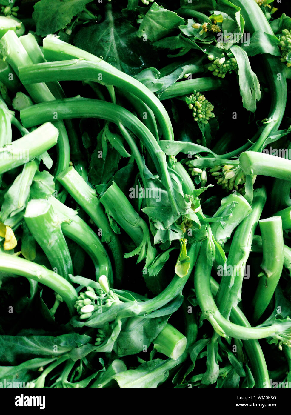 Chinese vegetable,Choy sum background Stock Photo