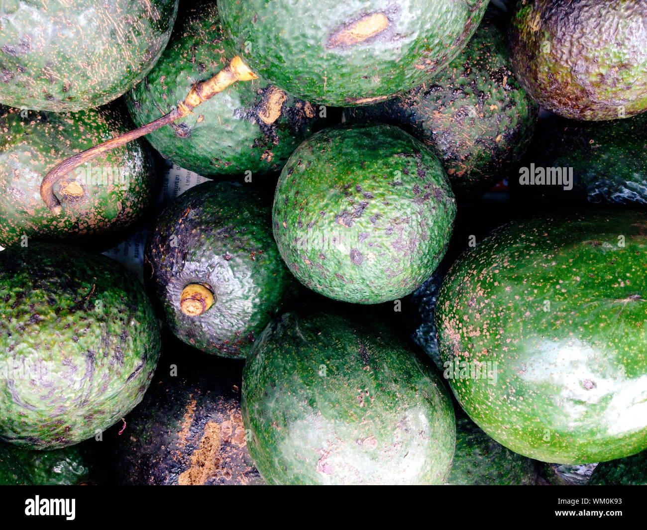 Fresh avocados Background Stock Photo