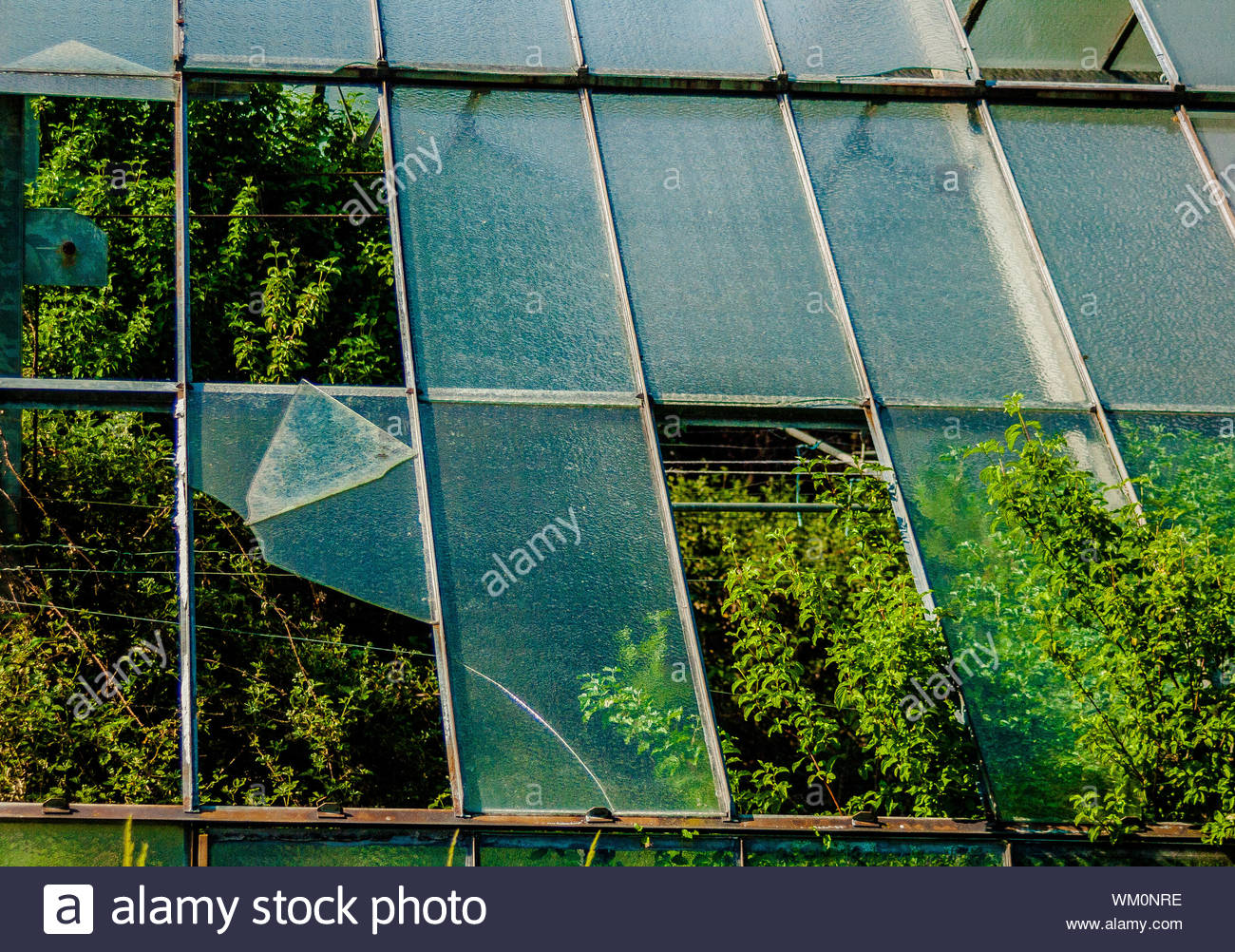 Greenhouse Glass Broken High Resolution Stock Photography and Images Alamy