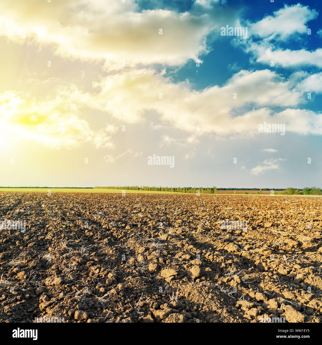 good sunset and field after harvesting Stock Photo - Alamy