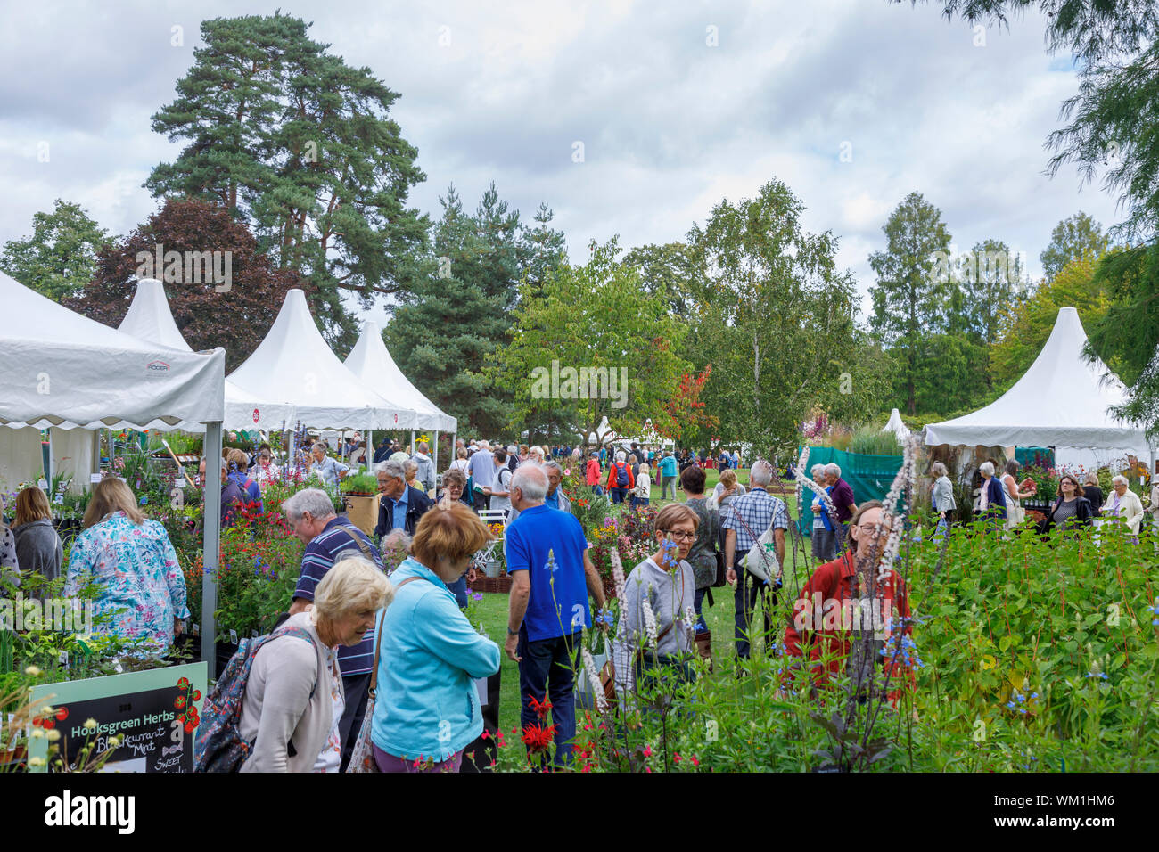 Stalls and flowers at the busy September 2019 Wisley Garden Flower Show at RHS Garden Wisley, Surrey, south-east England Stock Photo