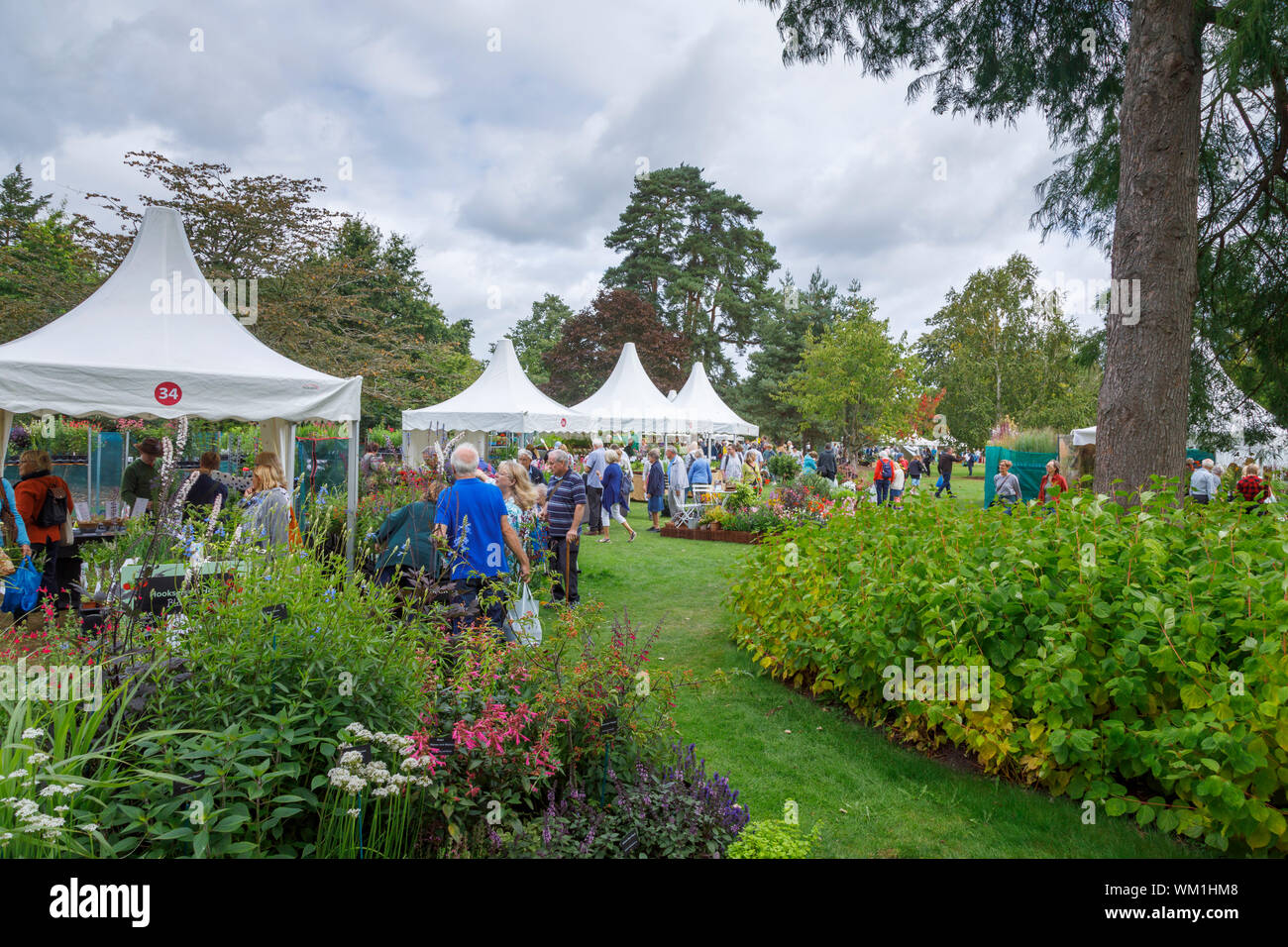 Stalls and flowers at the September 2019 Wisley Garden Flower Show at RHS Garden Wisley, Surrey, south-east England Stock Photo