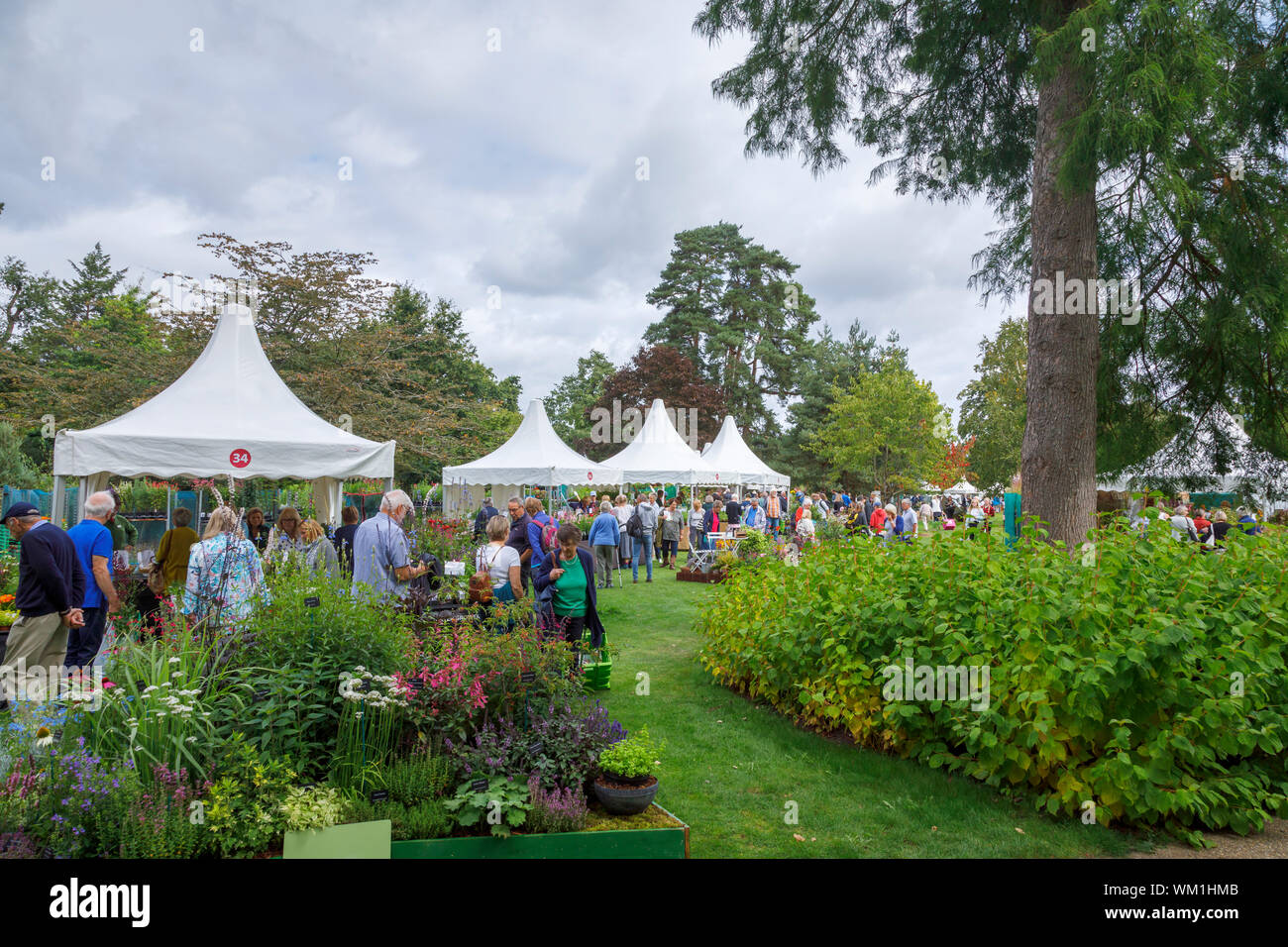 Stalls and flowers at the September 2019 Wisley Garden Flower Show at RHS Garden Wisley, Surrey, south-east England Stock Photo