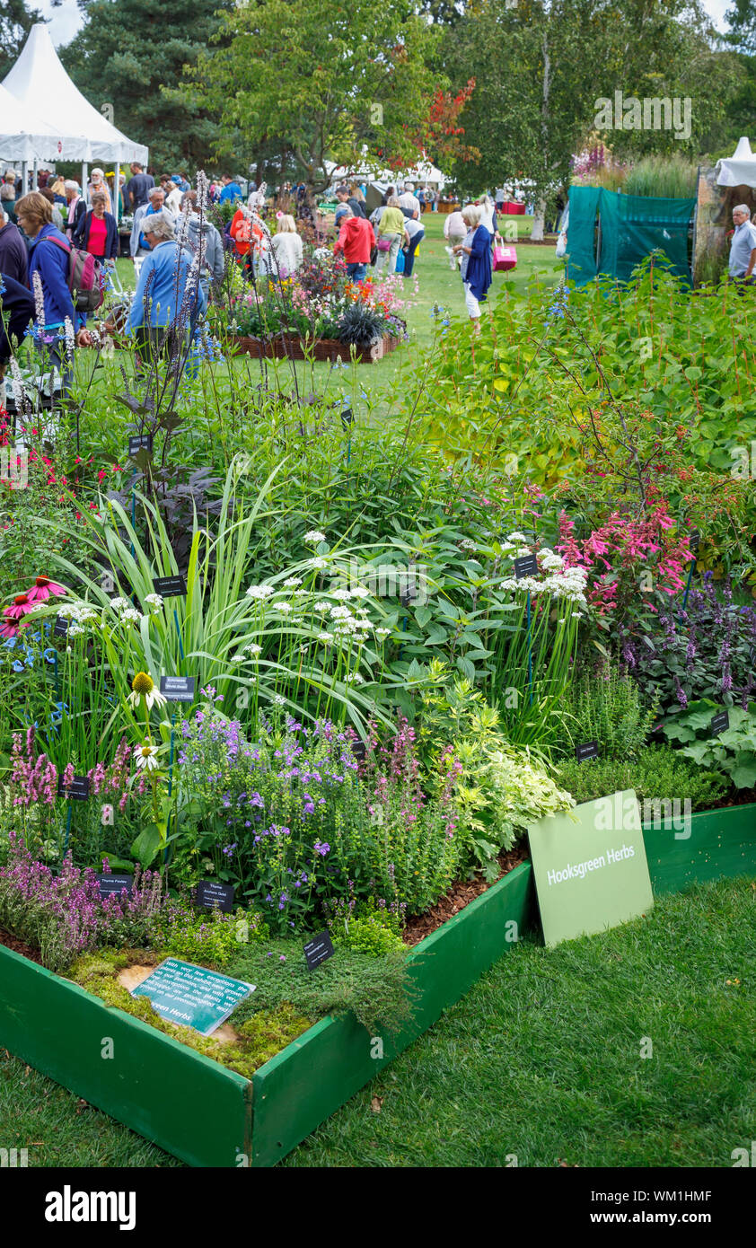 Stalls and display of flowers and herbs at the September 2019 Wisley Garden Flower Show at RHS Garden Wisley, Surrey, south-east England Stock Photo