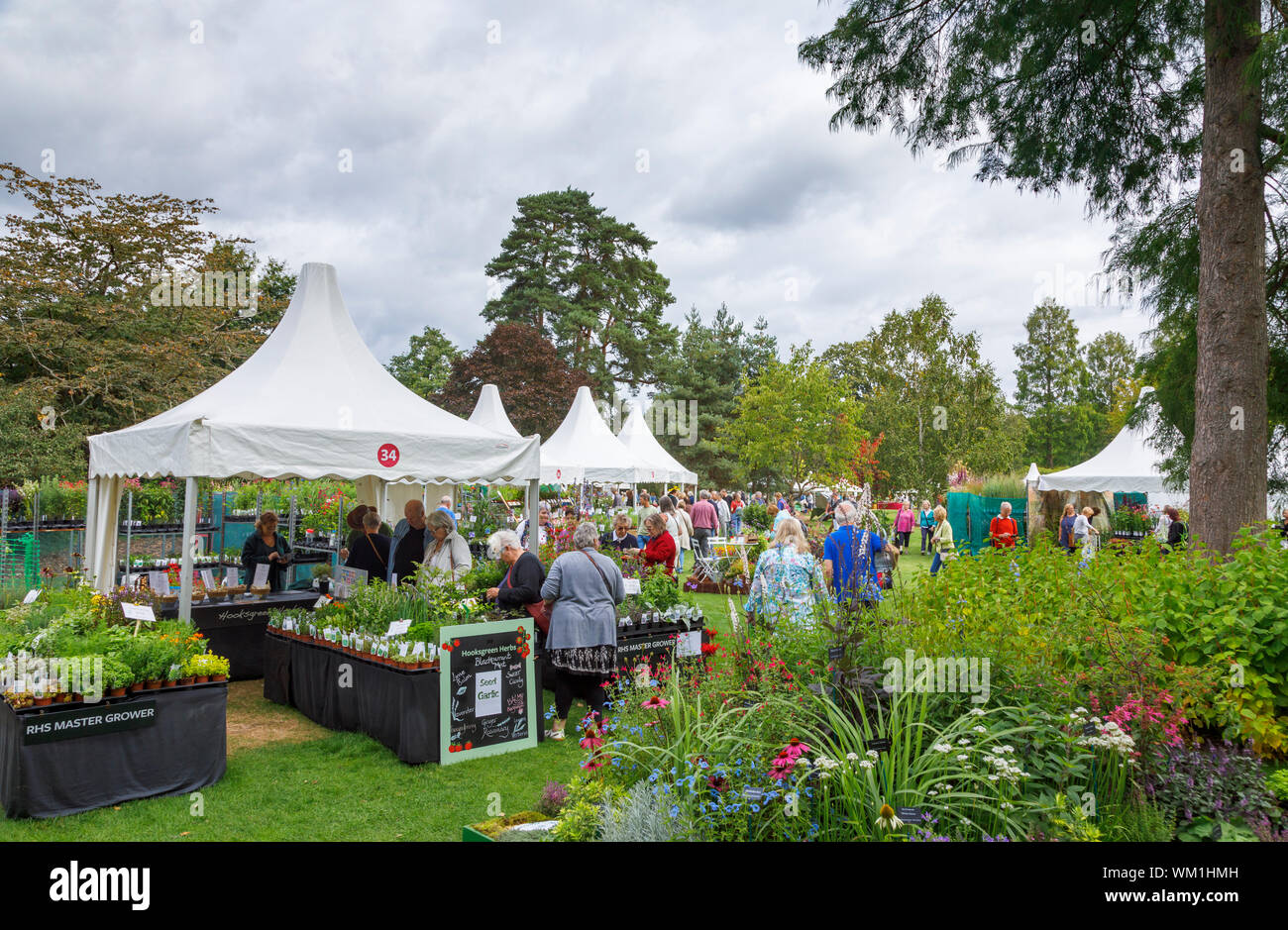 Stalls with displays of herbs and flowers at the September 2019 Wisley Garden Flower Show at RHS Garden Wisley, Surrey, south-east England Stock Photo