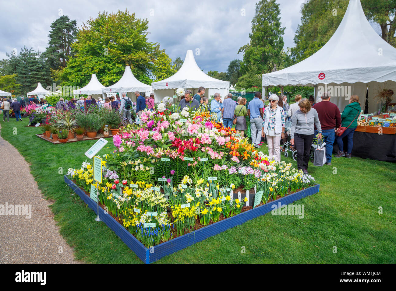 Stalls and display of colourful flowers at the September 2019 Wisley Garden Flower Show at RHS Garden Wisley, Surrey, south-east England Stock Photo