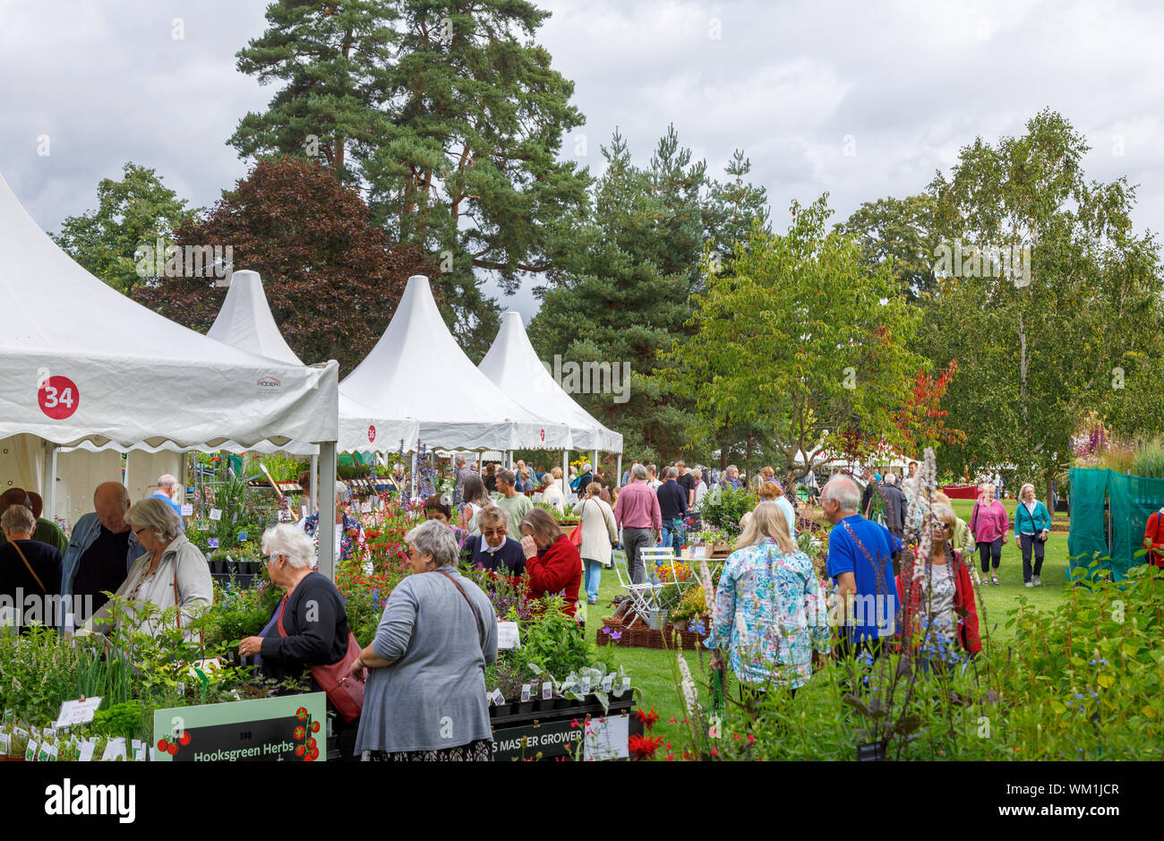 Stalls and displays of flowers at the September 2019 Wisley Garden Flower Show at RHS Garden Wisley, Surrey, south-east England Stock Photo