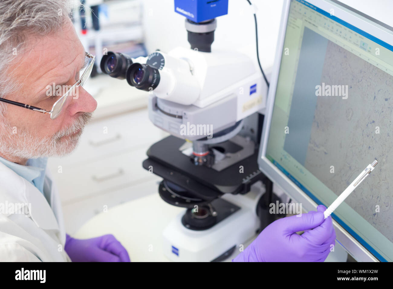 Senior head scientist microscoping in the life science research