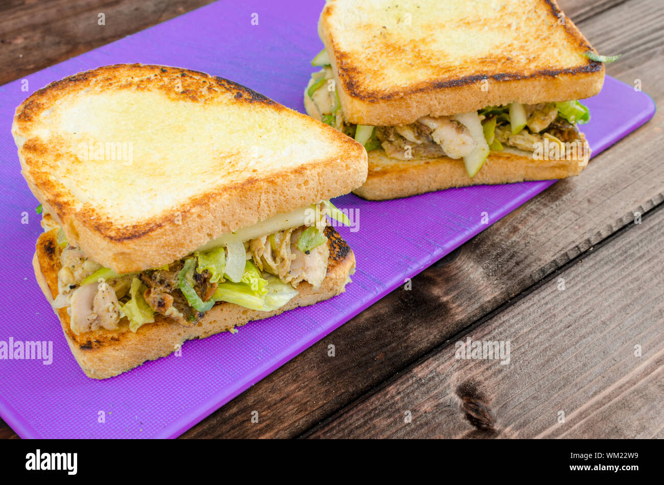 Chicken sandwich with celery, mustard, grilled chicken and salad Stock