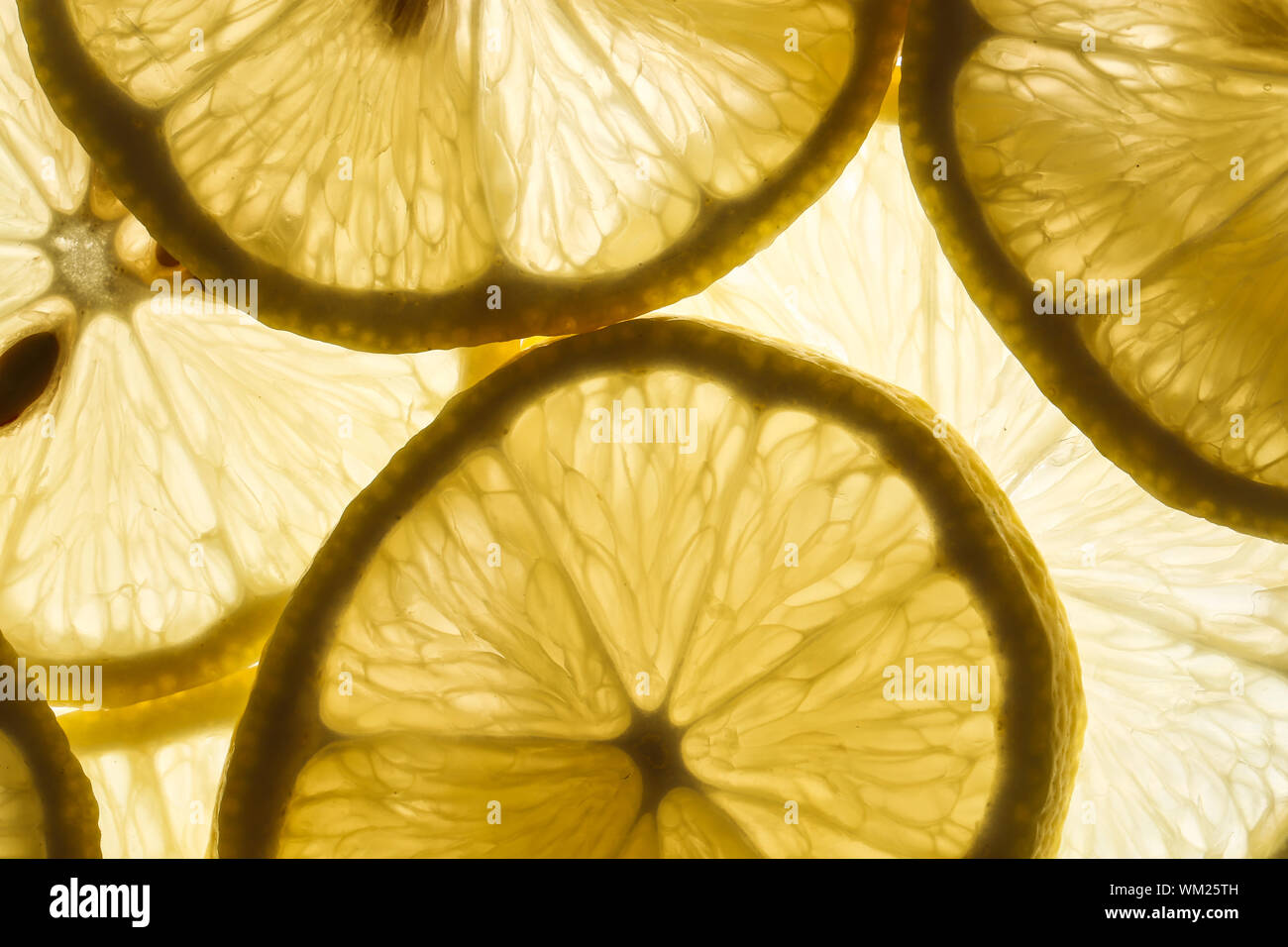a79bcf49-f5a8-45f3-9d3b-fd48477e2e3f Stock Photo