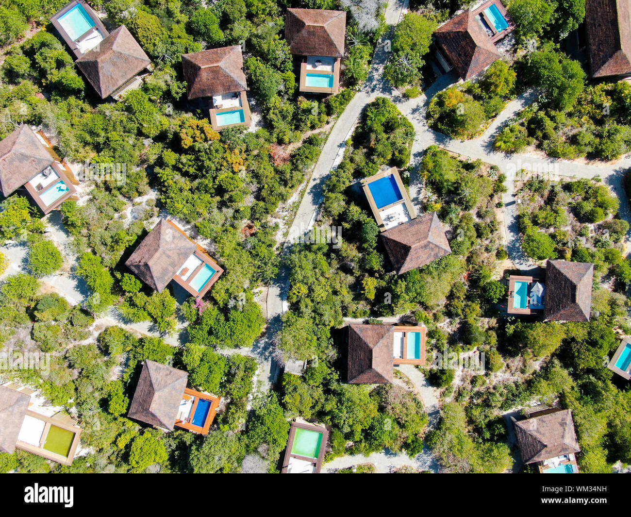 Aerial view of luxury villa with swimming pool in tropical forest. Private tropical villa with swimming pool among tropical garden with palm trees Stock Photo