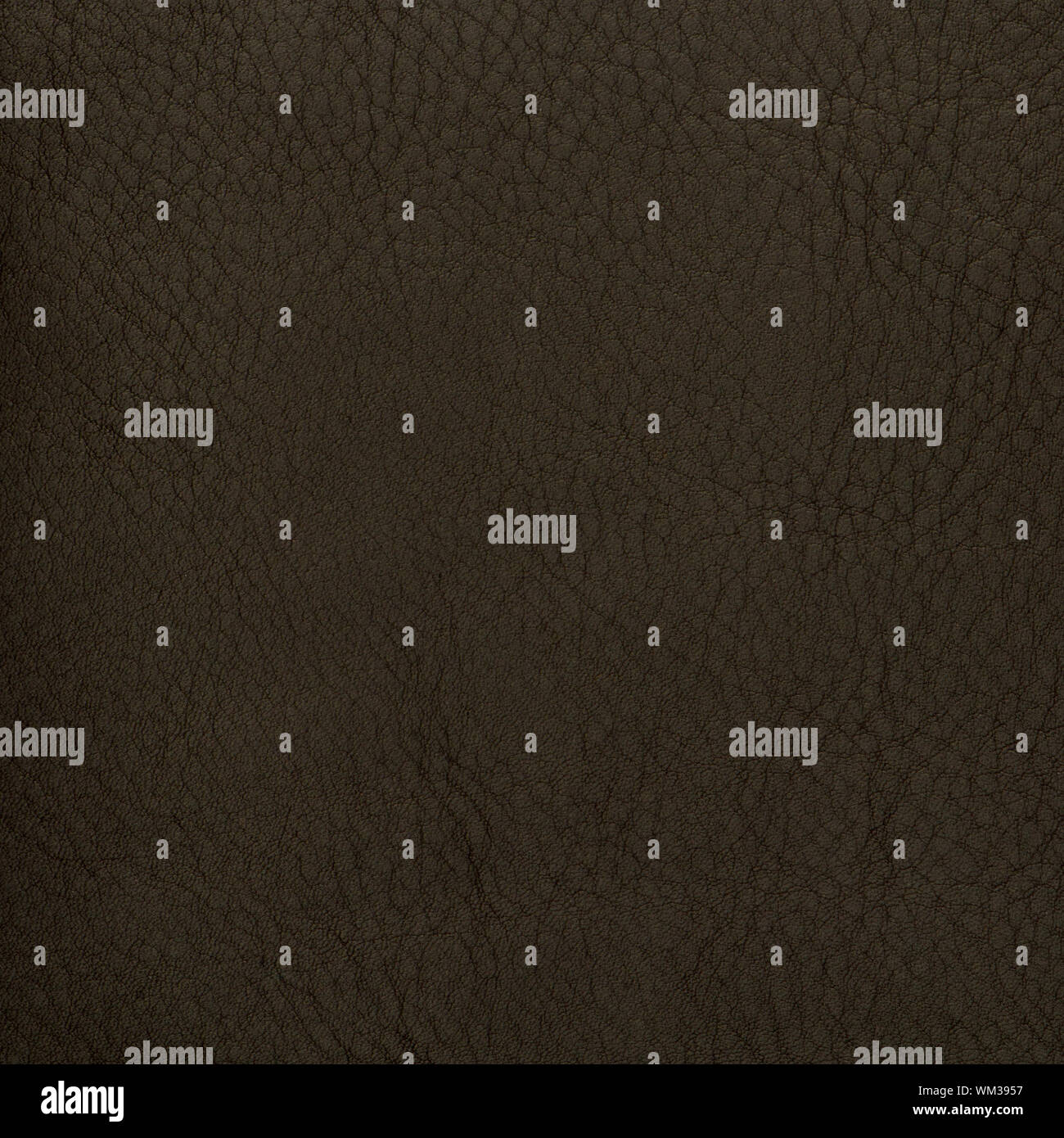 Closeup detail of green leather texture background. Stock Photo