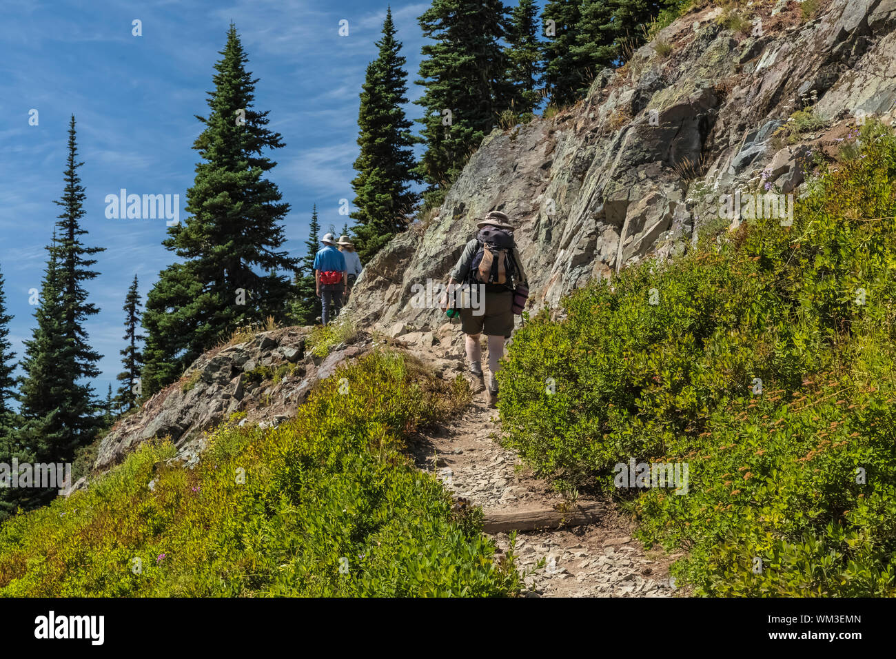 Hiking along the Naches Peak Loop Trail in Mount Rainier National Park, Washington State, USA [No model releases; available for editorial licensing on Stock Photo